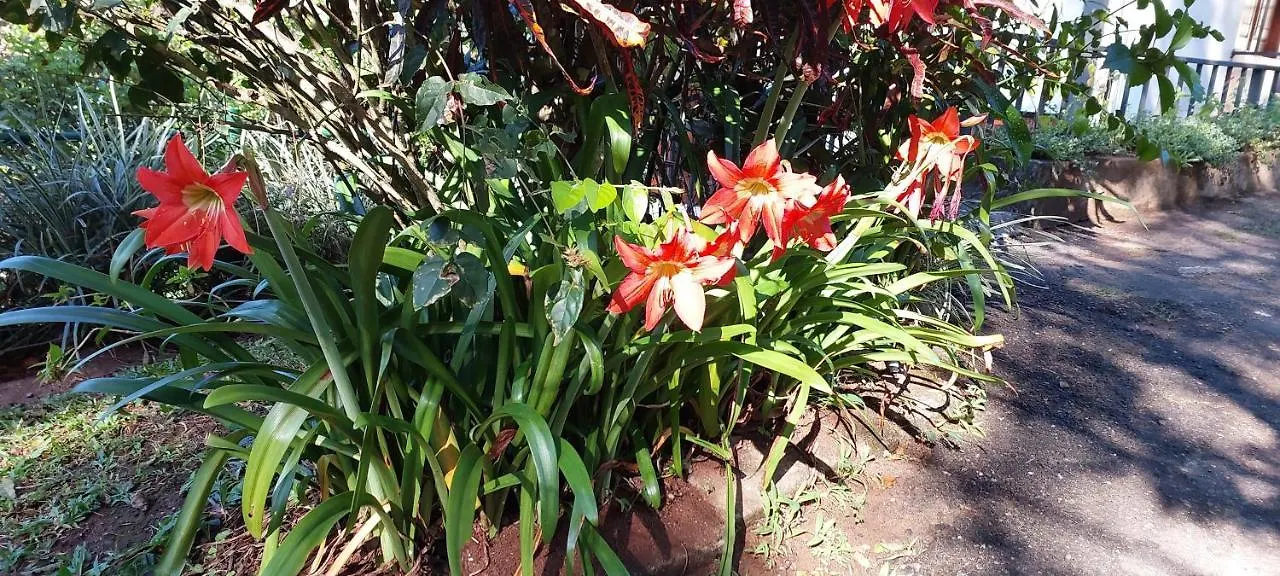 Windy Ridge Kandy Guest house