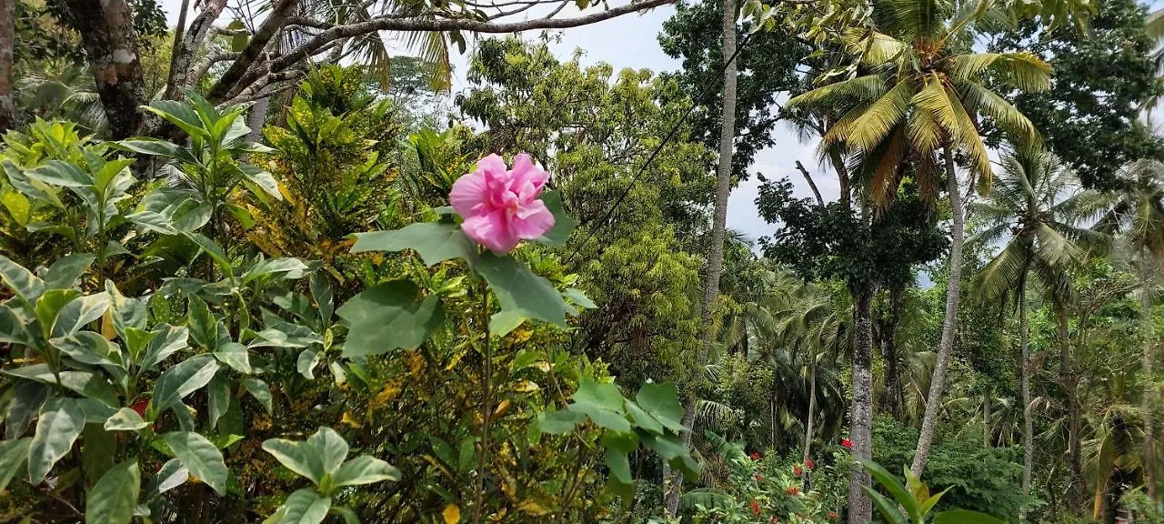 Windy Ridge Kandy 3*,