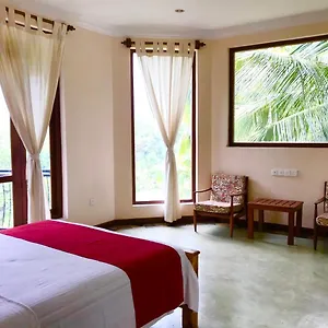 https://mount-haven.negombohotels.net