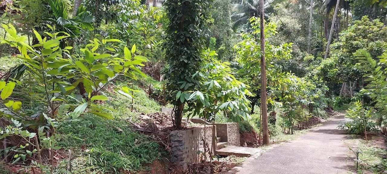 Gasthof Windy Ridge Kandy
