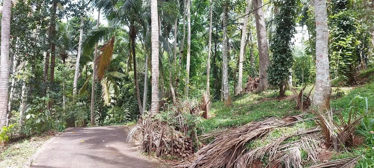 Windy Ridge Kandy Gasthof